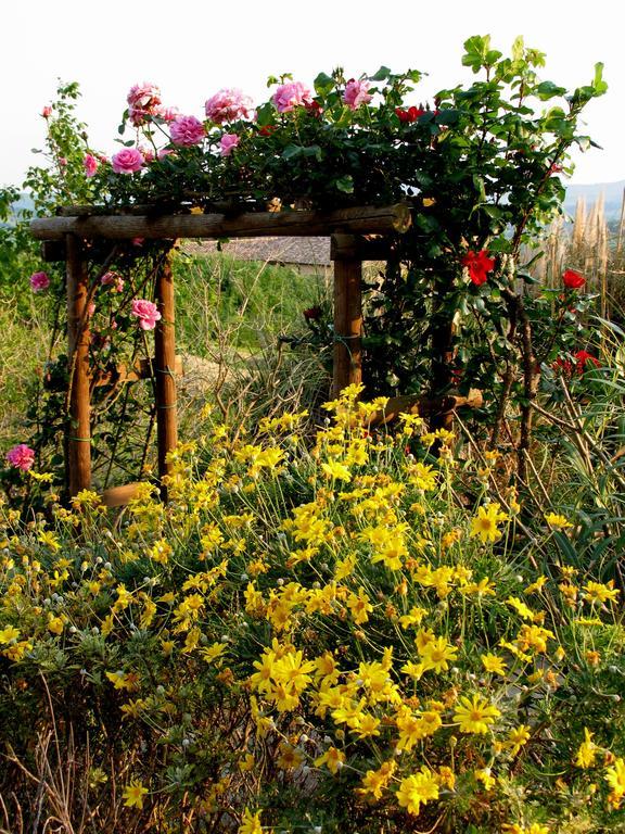Poggio Della Quercia Villa Manciano Ngoại thất bức ảnh